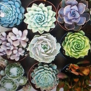 Meet your Posher, Alyson